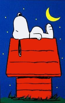 Snoopy On Doghouse Flag (Used/Near Mint)