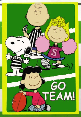 Non-Vintage Flag - Go Team!