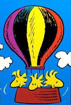 Woodstock Ballooning Flag