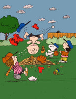 PEANUTS GANG BASEBALL Flag - RARE! (Used)