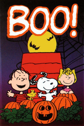 NON - VINTAGE FLAG - BOO! - snoopn4pnuts.com