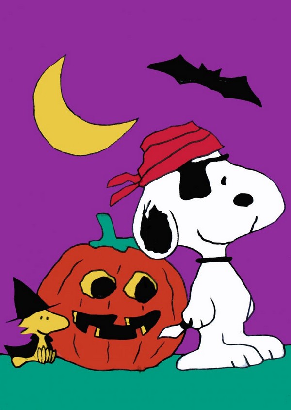 SNOOPY PIRATE HALLOWEEN Flag (Used/NEAR MINT)