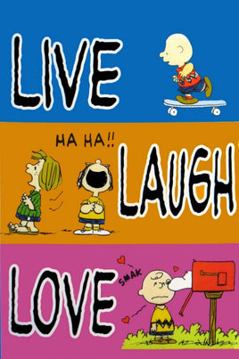 Non-Vintage Flag - Live, Love, Laugh