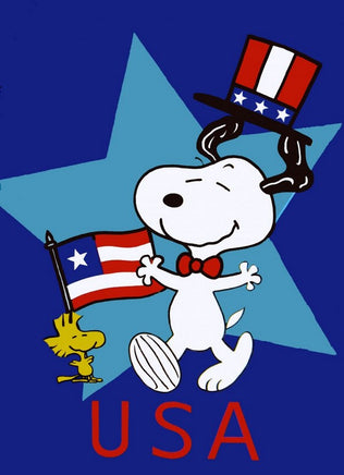Non-Vintage Flag - Usa