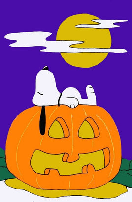 Snoopy On Jack '0 Lantern Halloween Sculpted Flag