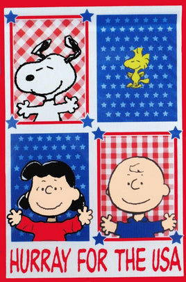 Non-Vintage Flag - Hurray For The Usa  On Sale!