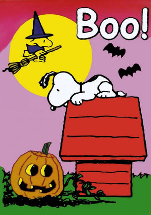 Non-Vintage Flag - Boo!