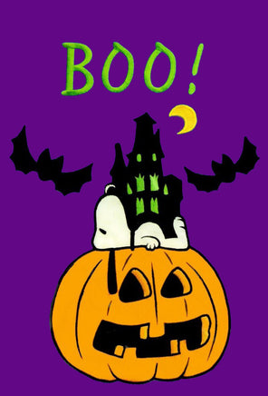 Non-Vintage Flag - Boo!   On Sale!