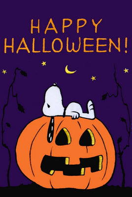Non-Vintage Flag - Happy Halloween  On Sale!