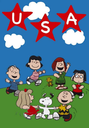 NON - VINTAGE FLAG - USA - snoopn4pnuts.com