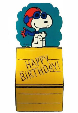 Snoopy Flying Ace Birthday Gift Box - snoopn4pnuts.com