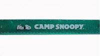 Camp Snoopy 12