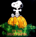 Snoopy Great Pumpkin Lighted Window Decor (Used / Works Well; Skin Tone Darker)