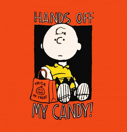 Charlie Brown Halloween T-Shirt (2Xl Size Available)