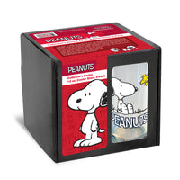 Peanuts Snoopy 12 Ounce Cooler Glasses