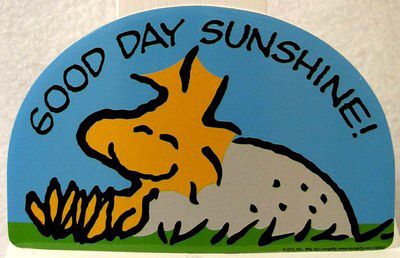 Woodstock Indoor/Outdoor Vinyl Sticker - Good Day Sunshine  On Sale!