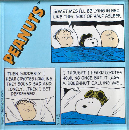 【シゲルさん専用】PEANUTS COMICS他 Peanuts Comics Panel Acrylic Magnet - Sleep Over| snoopn4pnuts.com
