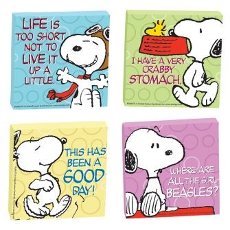 Snoopy Super Strong 4-Piece Magnet Set