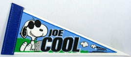 Snoopy Joe Cool Mini Pennant