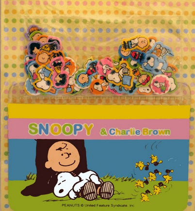 Snoopy And Friends Mini Sticker And Card Holder Set - Charlie Brown And Snoopy
