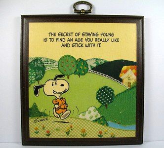 Secret Of Staying Young Is To Find An Age & Stick With It Wood Plaque - New!