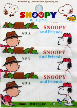 Charlie Brown And Snoopy Patch Set