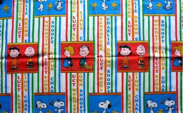 Vintage Peanuts Gang Names Pillow Case (2 Small Holes)