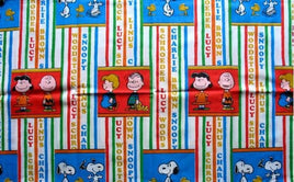 Vintage Peanuts Gang Names Pillow Case (2 Small Holes)