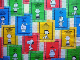 Vintage Peanuts Gang Pillow Case - Colorblock