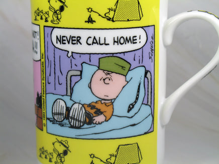 Danbury Mint Porcelain Calendar Mug - August: Summer Camp Blues - snoopn4pnuts.com