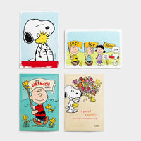 Peanuts Gang All Occasion Cards Boxed Set (Care and Concern, Get Well, and Birthday) - snoopn4pnuts.com