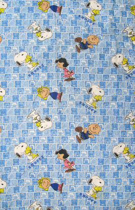 Peanuts Gang In Squares Comforter