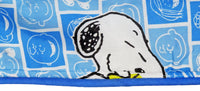 Peanuts Gang In Squares Comforter