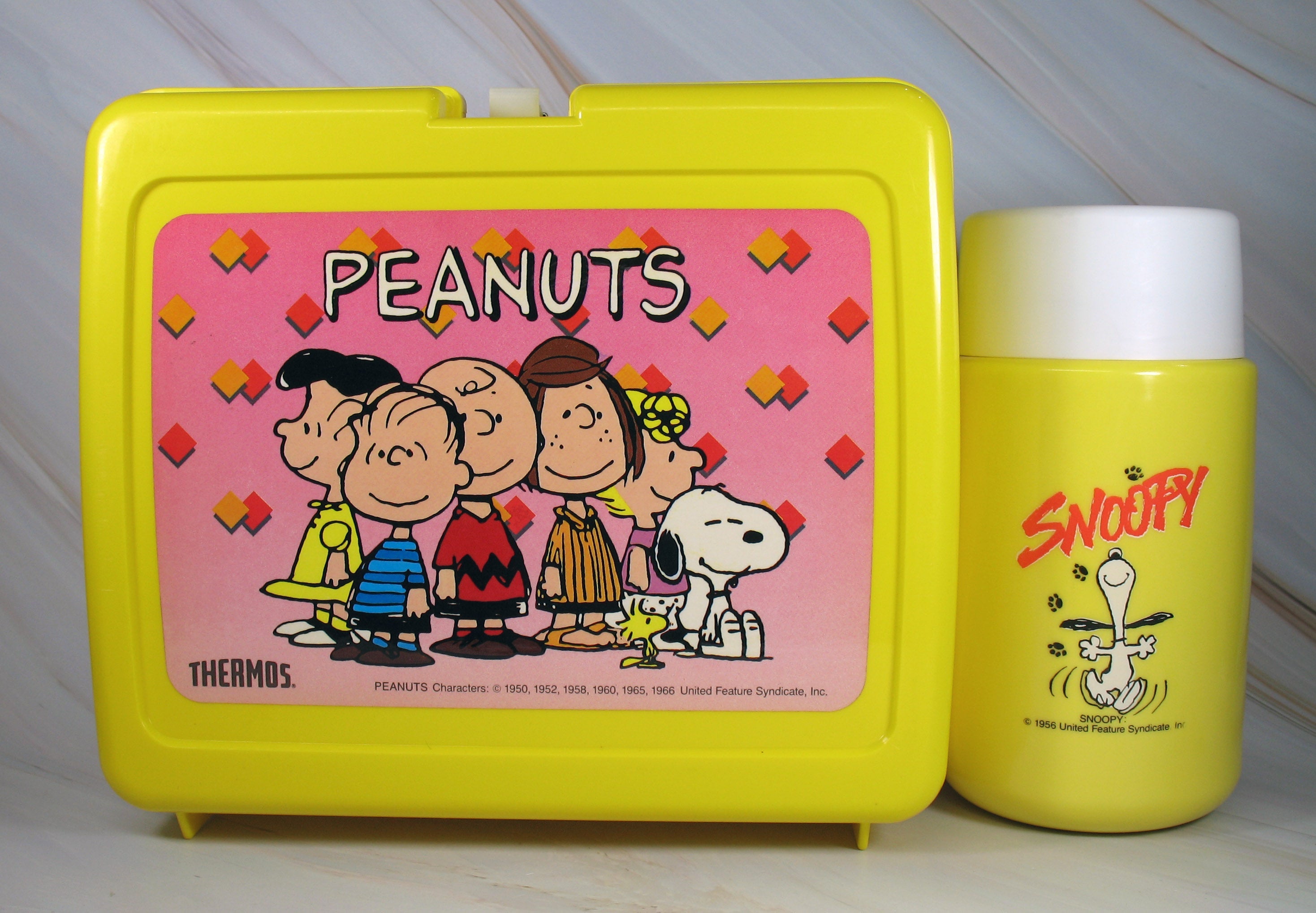 VINTAGE PLASTIC LUNCH BOX WITH THERMOS