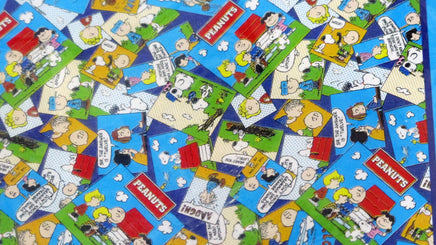 Peanuts Large Woven Nylon Picnic Mat - snoopn4pnuts.com