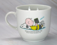 Charlie Brown Imported Ceramic Mug - snoopn4pnuts.com