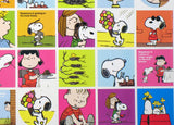 Peanuts Vintage Variety Sticker Set (60 Stickers!)