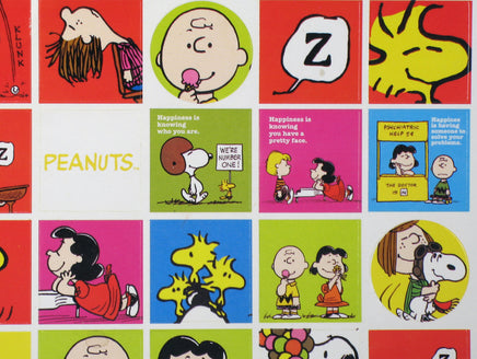 Peanuts Vintage Variety Sticker Set (59 Stickers!) - snoopn4pnuts.com