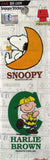 Snoopy and Charlie Brown Large Sticker Set