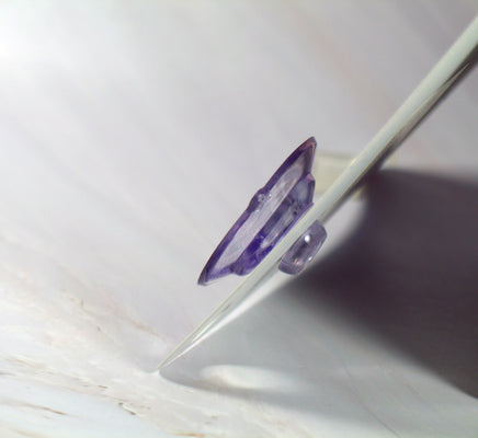 Camp Snoopy Plastic Window Decor With Suction Cup Hanger - Lucy - snoopn4pnuts.com