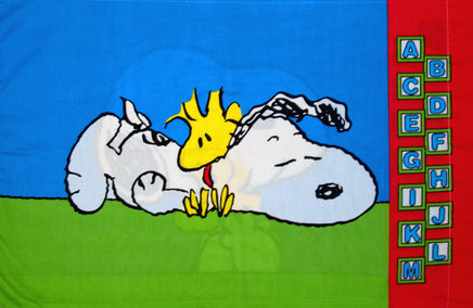 Vintage Peanuts Gang Pillow Case - Alphabet