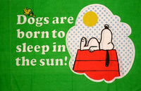 Vintage Peanuts Gang Pillow Case - Sleeping Snoopy