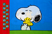 Vintage Peanuts Gang Pillow Case - Alphabet