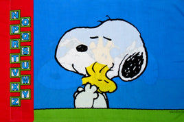 Vintage Peanuts Gang Pillow Case - Alphabet
