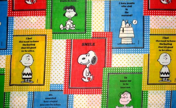 Vintage Peanuts Gang Pillow Case - Colorblock