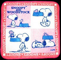 Wash Cloth - Snoopy and Woodstock Feeding Time