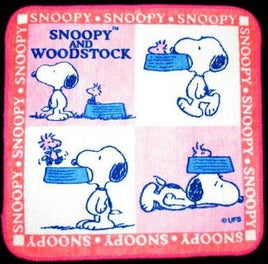 Wash Cloth - Snoopy And Woodstock Feeding Time