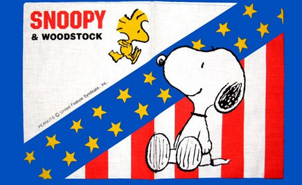 Snoopy And Woodstock Cloth Place Mat