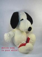 Snoopy Wearing Red Shoes