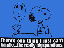 Peanuts Laminated Vintage Poster - Big Questions (Minor wave in laminate) - snoopn4pnuts.com